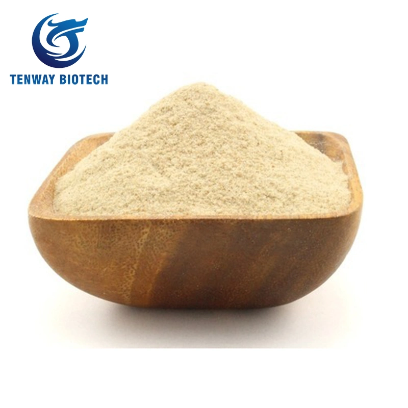 Ice Cream Raw Material Halal E415 Xanthan Gum for Sale From China Manufacturer