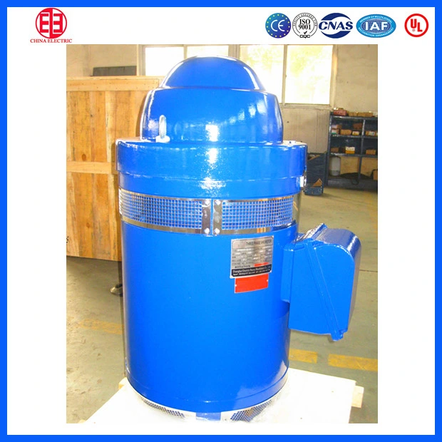 IEC Standard Deep Well Vertical Hollow Shaft Vhs Pump Motor