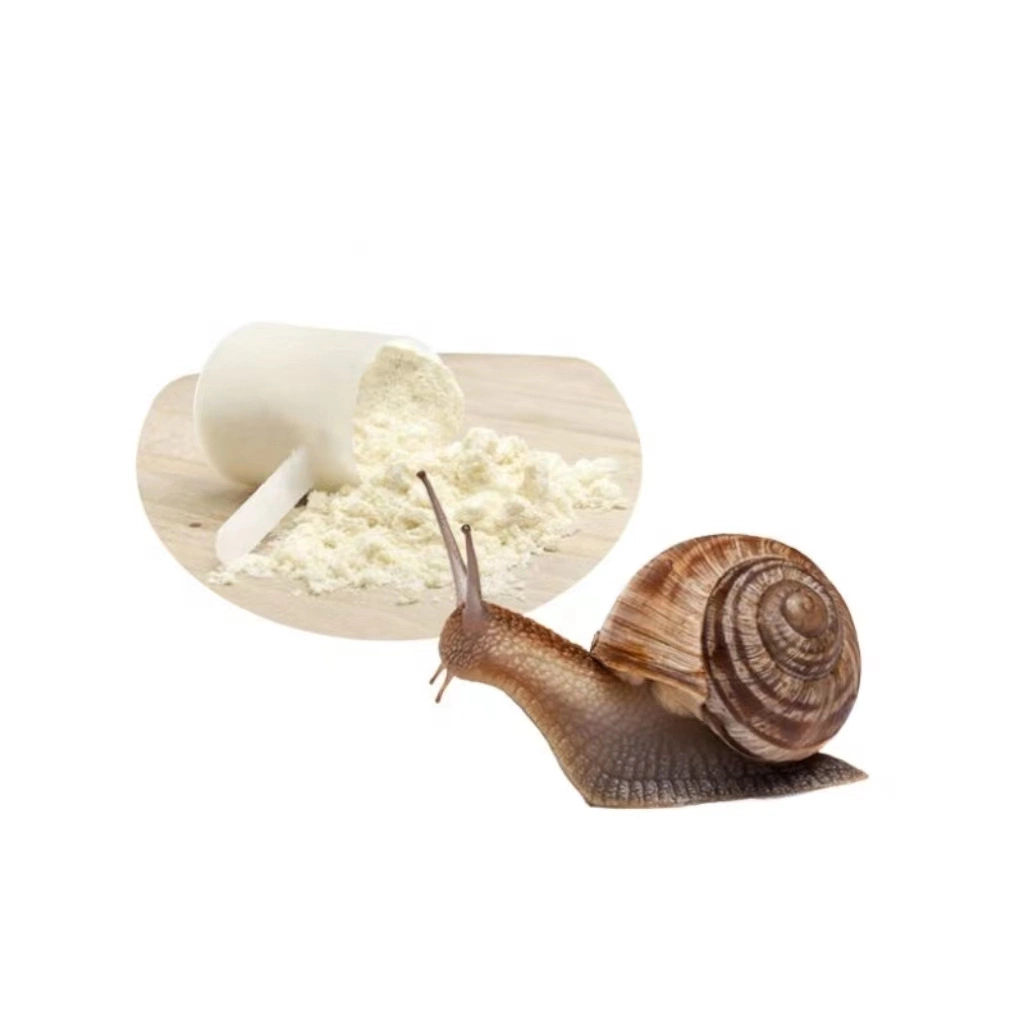 High quality/High cost performance  Snail Mucin Powder Snail Protein Powder