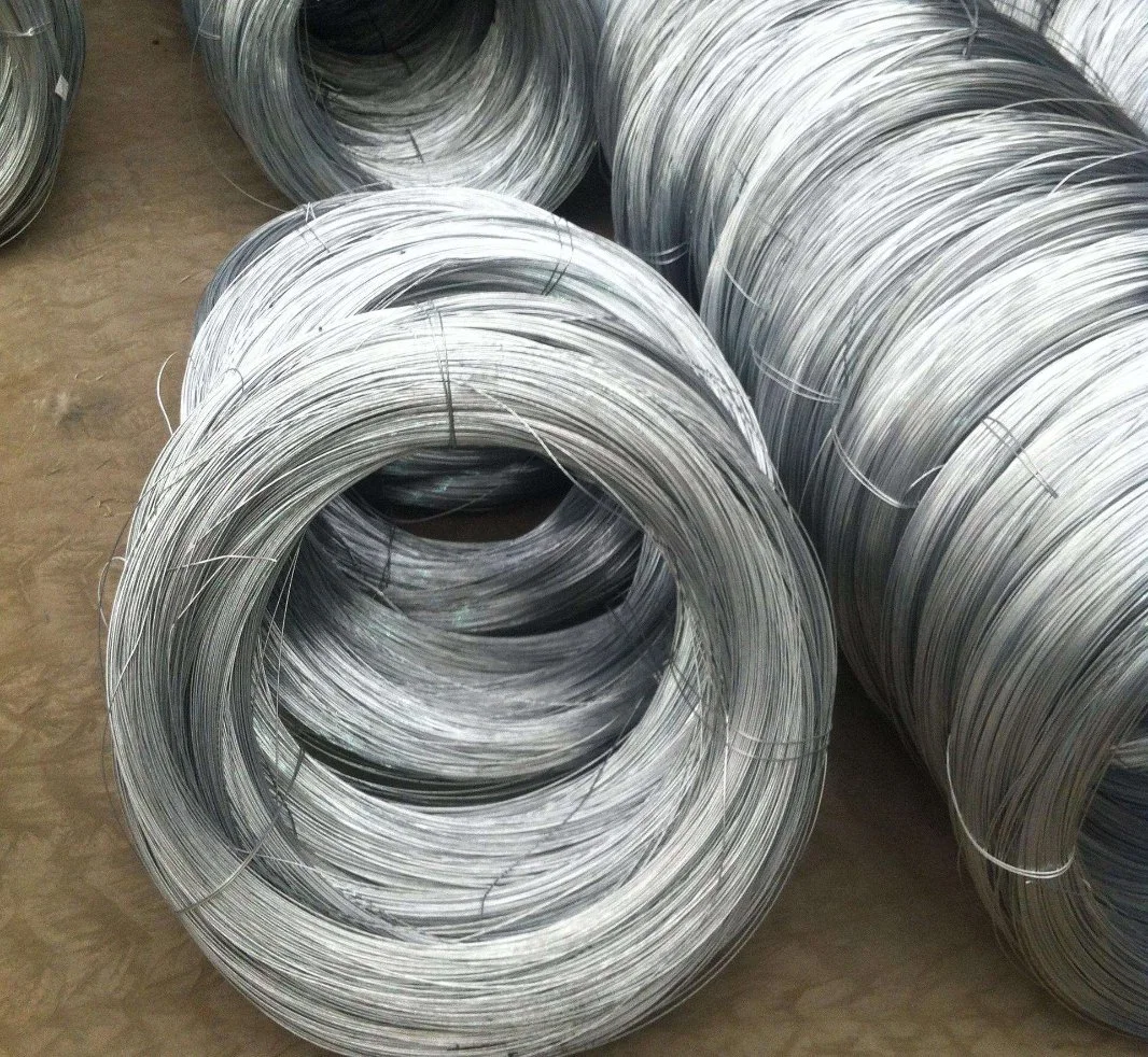 Alambre de encuadernación galvanizado a bajo precio 9 10 12 14 16 Calibre DIP caliente Electro Galvanized Iron Wire Gi Acero alto Acero al carbono 1 Ton AISI