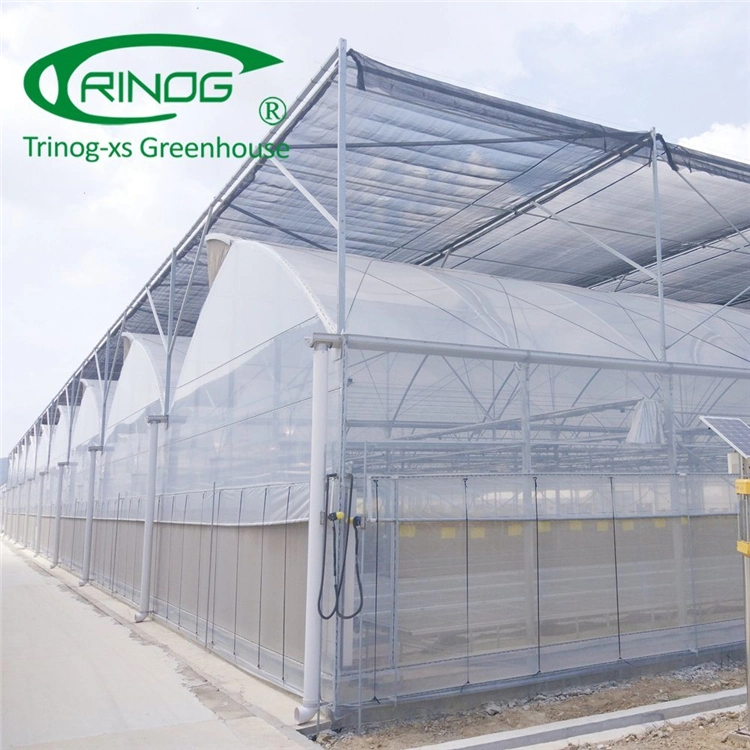 Intelligent Multi-Functional Film Greenhouse for Vegetable