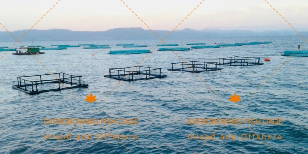 HDPE Kenya Square Aquaculture Tilapia Breeding Culture Cage Fish Floating Farm