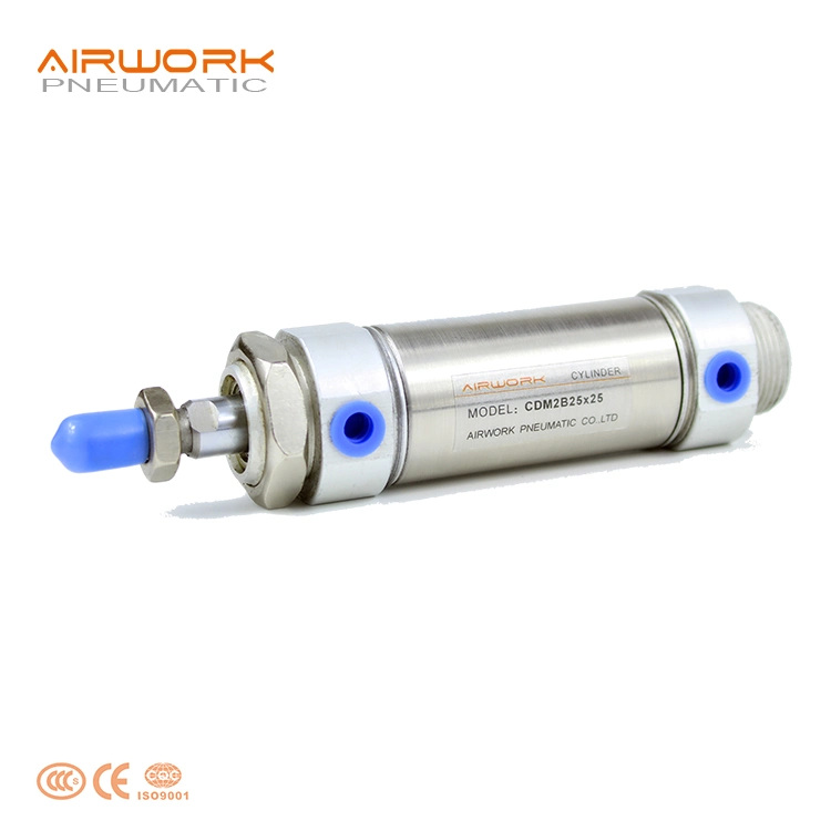 Cm2 Stainless Steel Mini Round Pneumatic Piston 25 mm Stroke Air Cylinder