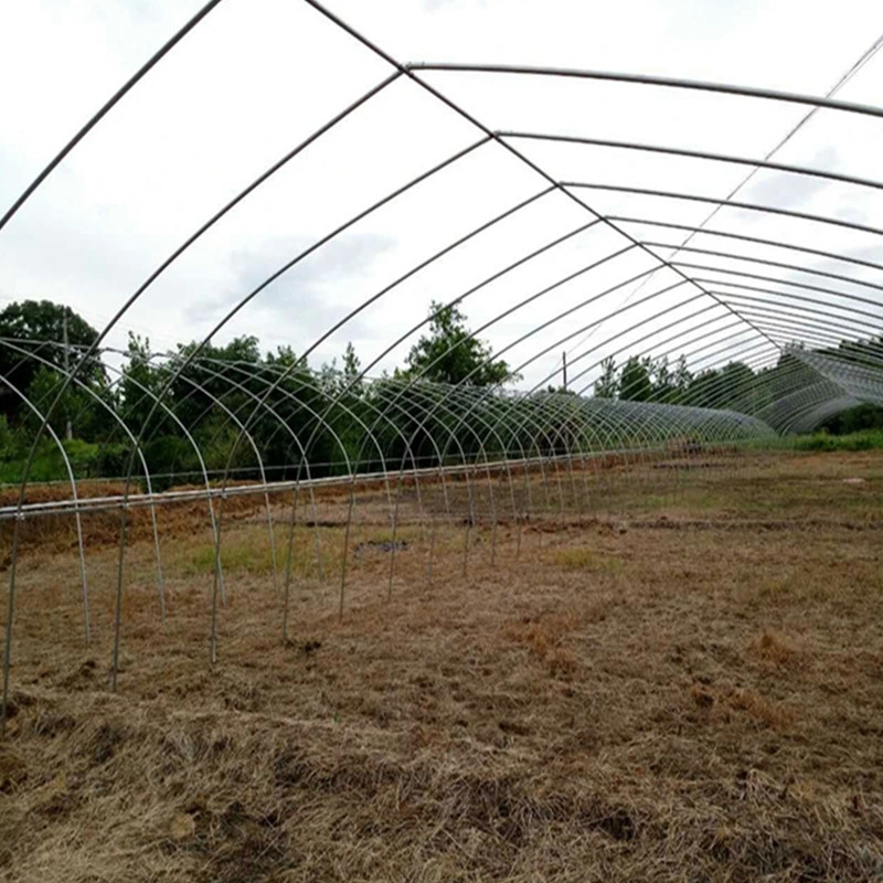 Greenhouse with Durable Galvanized Steel Frame