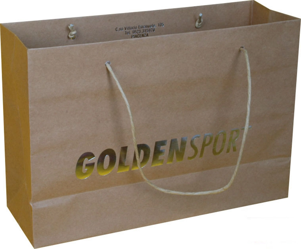 Promotional Printed Paper Gift Packing Bag for Shoes Foods