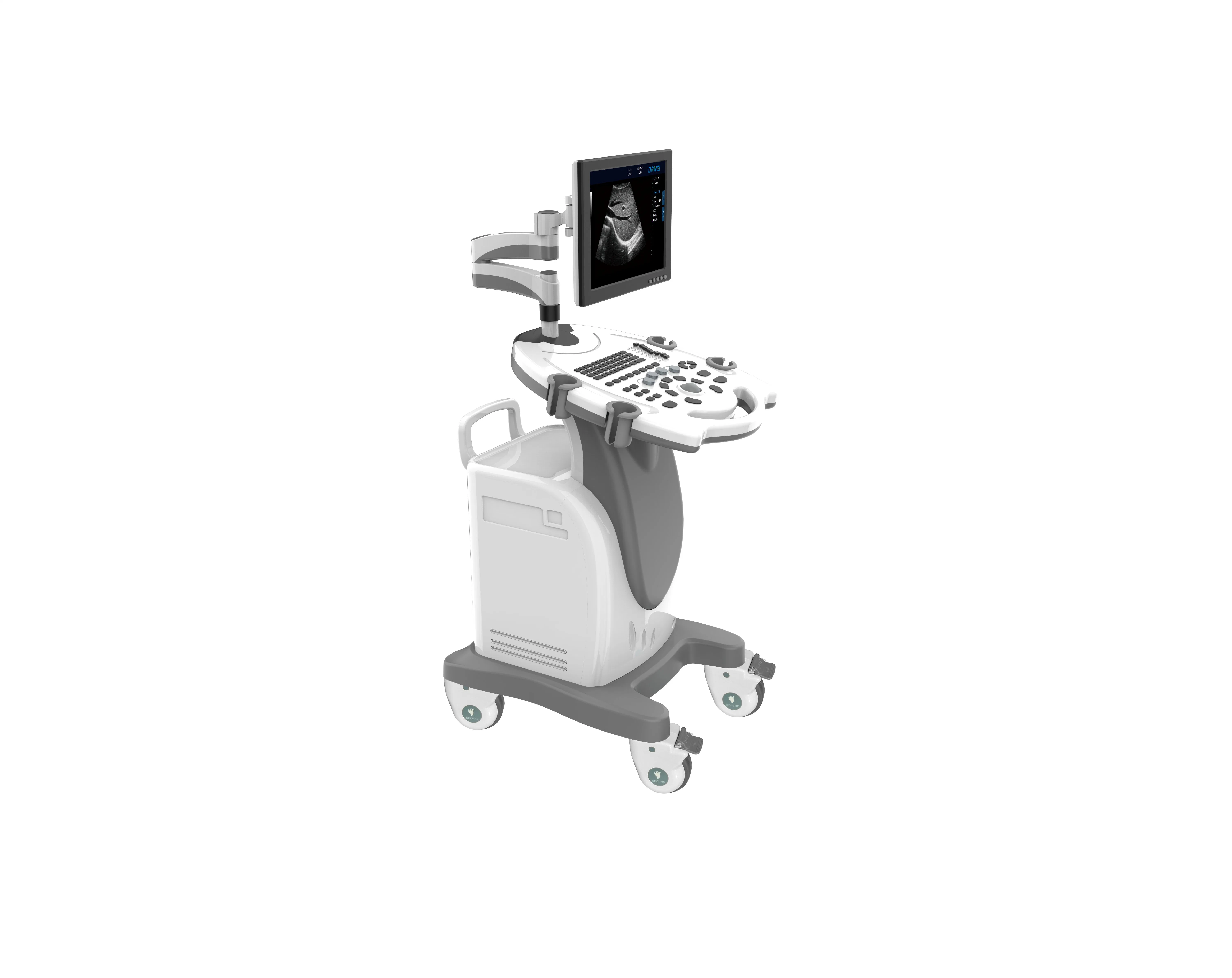 Trolley Black and White Ultrasound Scanner Dw-370 PC