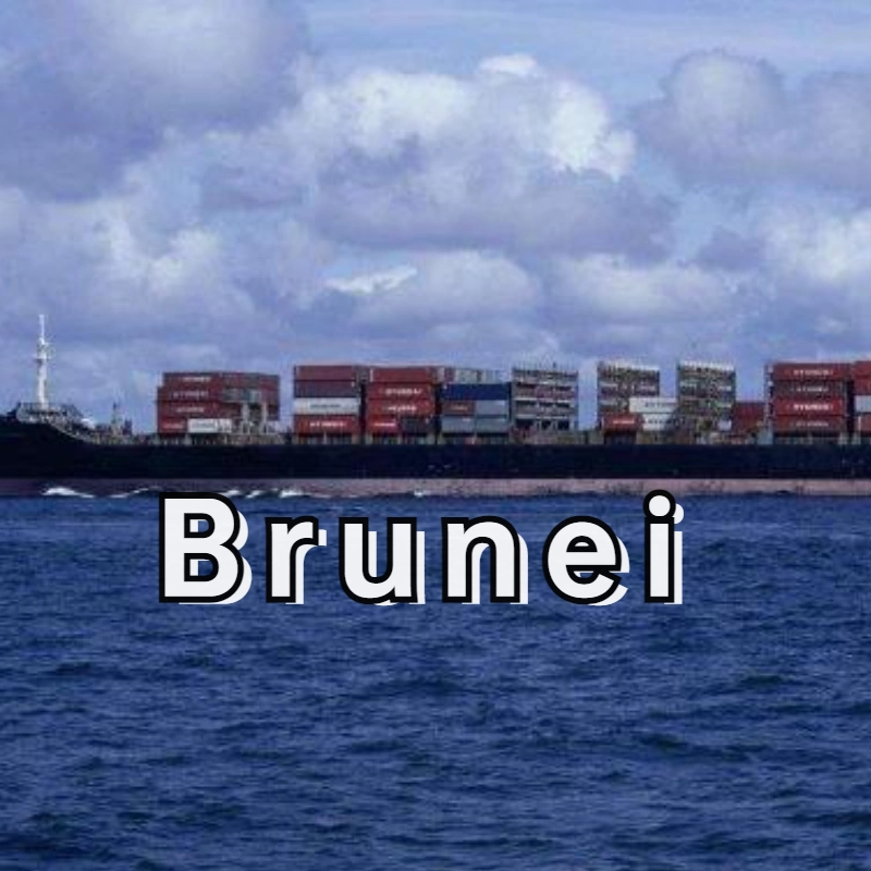 China to Brunei Haipai Special Line.