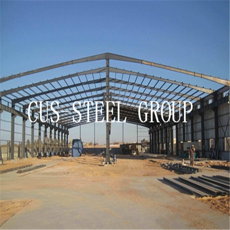Low Cost Long Span Steel Building Project/Light Weight Steel Structure
