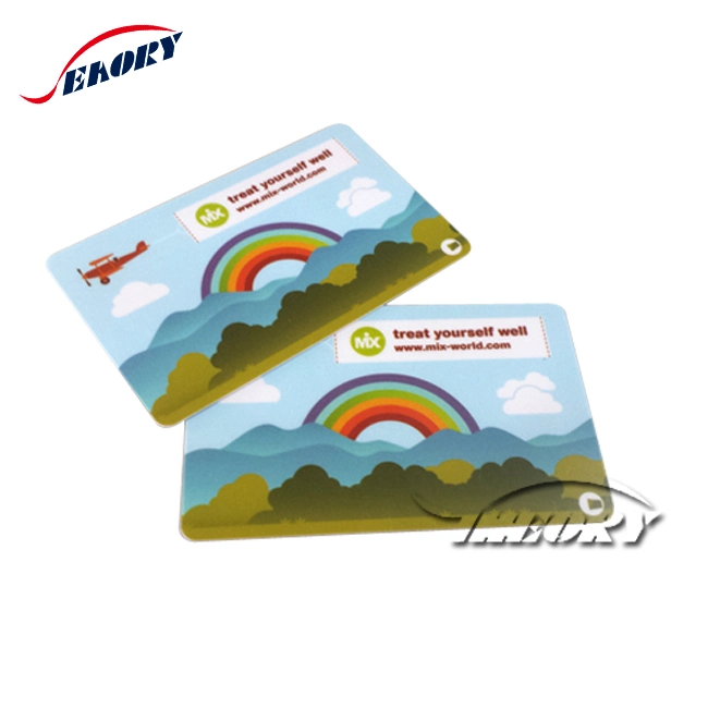 Customized Printing Size Discount Gift Credit Membership Card