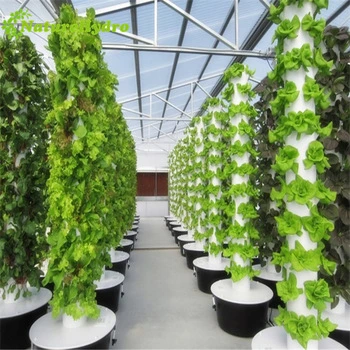 Nova agricultura estufa vertical hydroponic crescente sistema Home jardim vegetal Dispositivo em crescimento