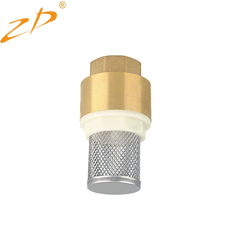 Backflow Brass Check Valve Foot Valve with SS304 Filter for Fountain Suction Hose Domestic Waterworks Garden Well Pump