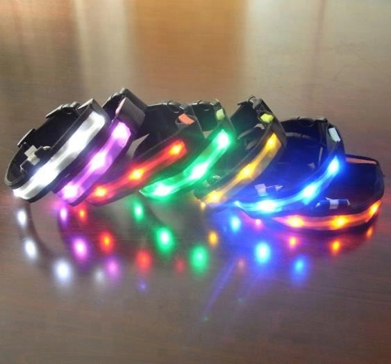 Logo personnalisé Collier pour chien LED rechargeable en nylon/Pet Toy /chien Accessoire de faisceau/PET