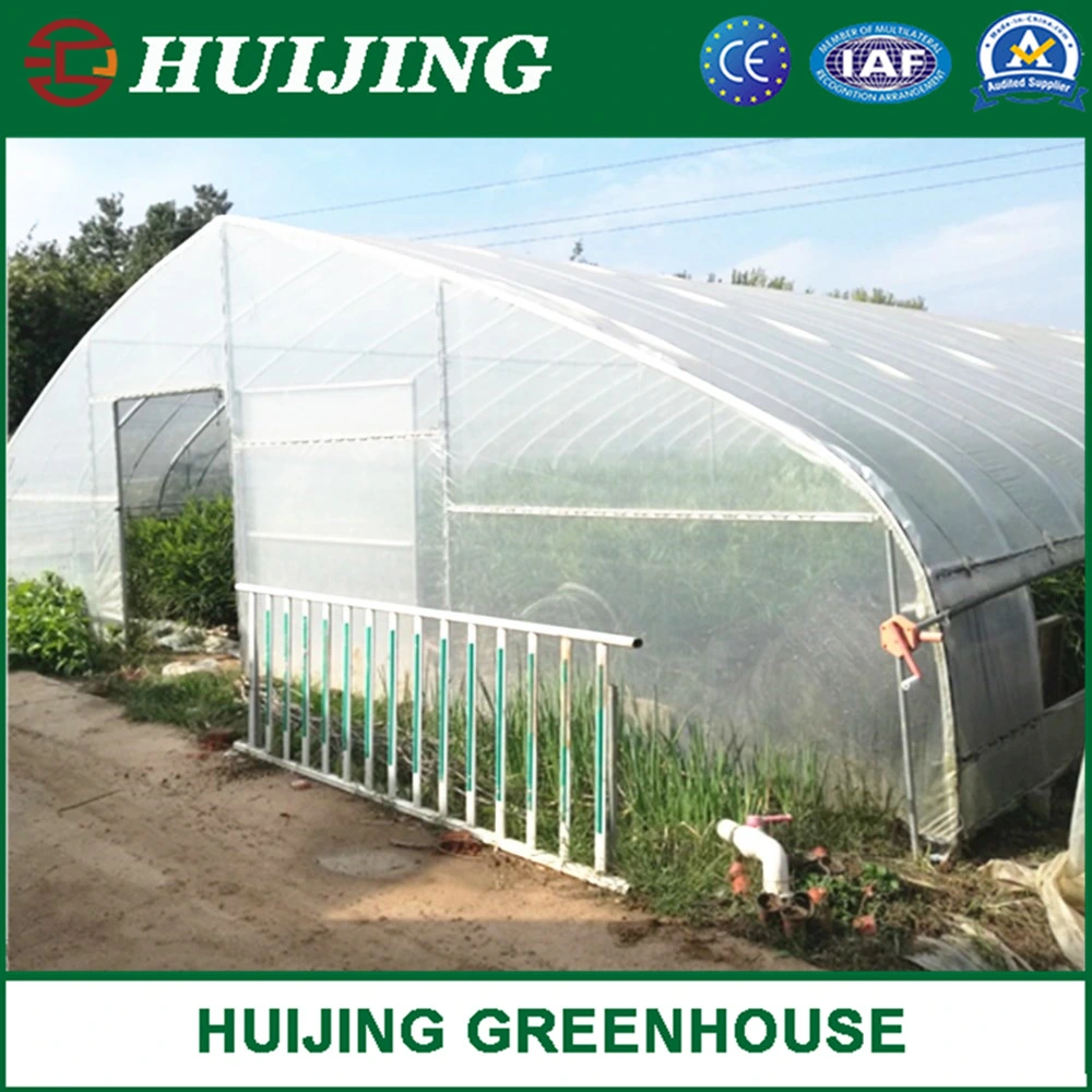 Low Cost Single Span Plastic PE Film Greenhouse with Ventilation System