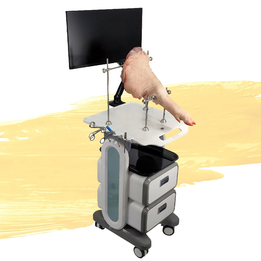 Arthroscopy Model Knee Joint Medical Teaching Demonstration Simulator Knee Training Equipment Knee Arthroscopy Simulator