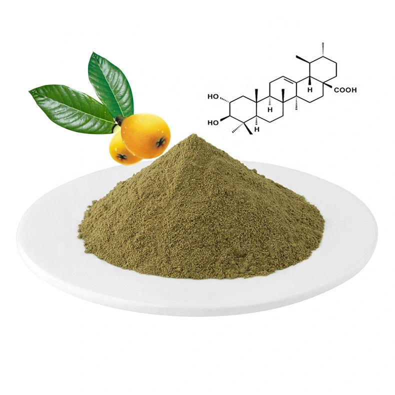 Extracto de hierbas planta antidiabético insulina Loquat ingrediente ácido Corosolic Extracto de la hoja de un 20% HPLC.