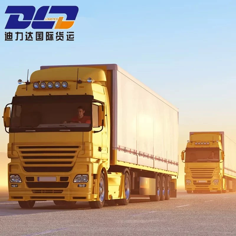 Logistique et transport terrestre/DDP ligne spéciale de Chine au Viêt Nam