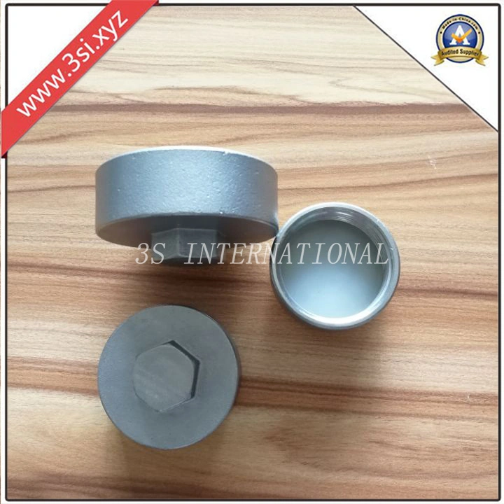 Stainless Steel Hex Head Thread Seal Caps (YZF-SS01)