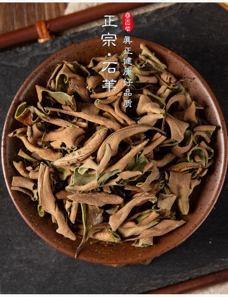 Pyrrosia Lingua (leaf) Chinese Herb Prepared Herbal Medicine Clearing Damp Promoting Diuresis