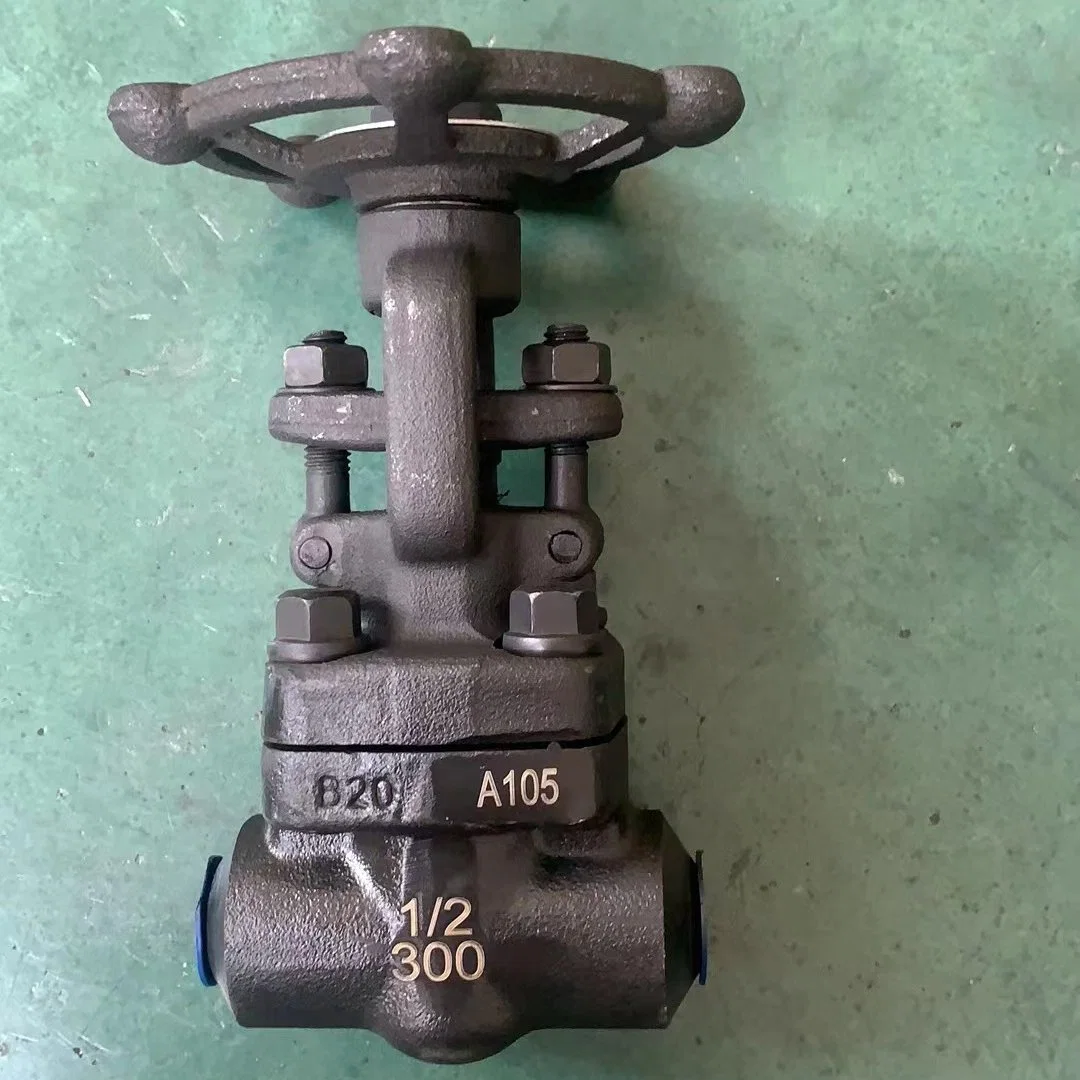 Socket Welded End Forged DN25 A105 Sw Type Forged Cl300 Gate Valve