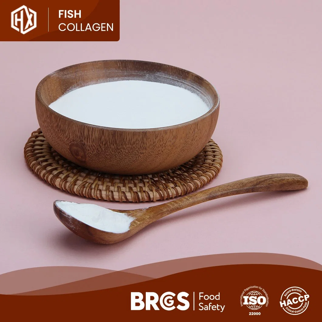 Haoxiang OEM Custom Marine Collagen Powder Wholesale High-Quality Food Grade Hydrolyzed 500-1000dal/300-500dal Molecular Weight Tilapia Scale Collagen Protein