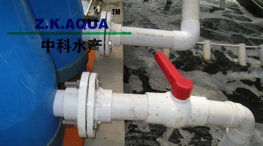 Oxygen Cone for Fish Farm High Density Ras Oxygen Cone for Indoor Culture Recirculating Aquaculture System