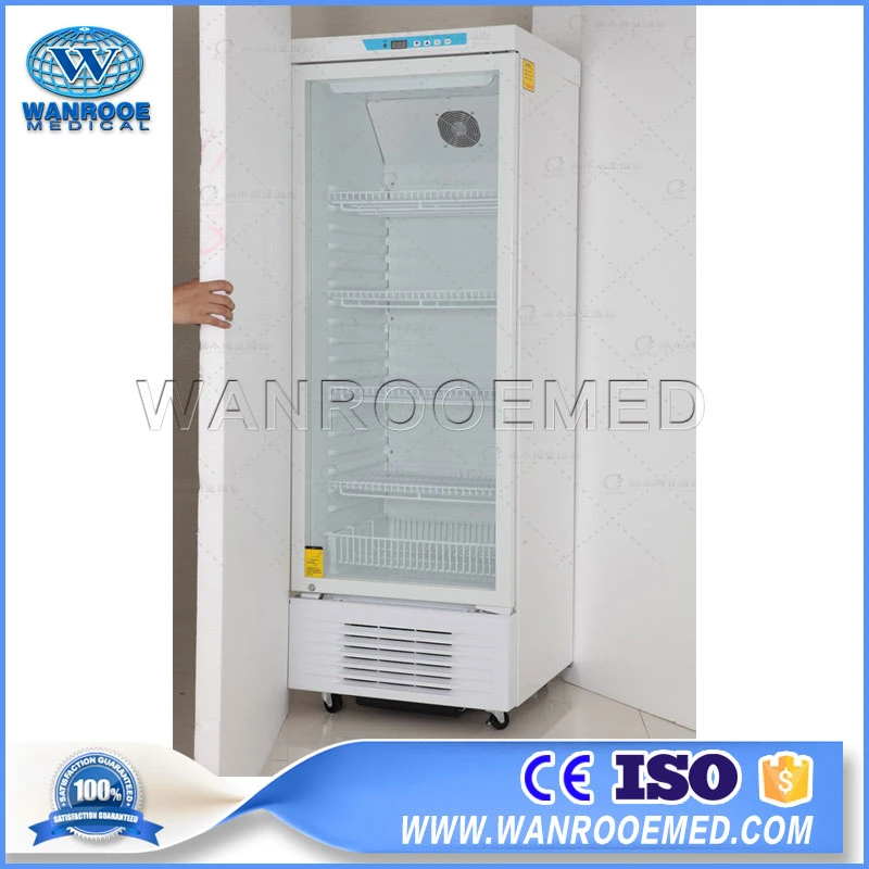 WR-YC-300L 2 C - 8 C Acero inoxidable biológico médico Refrigerador de farmacia Lab Deep