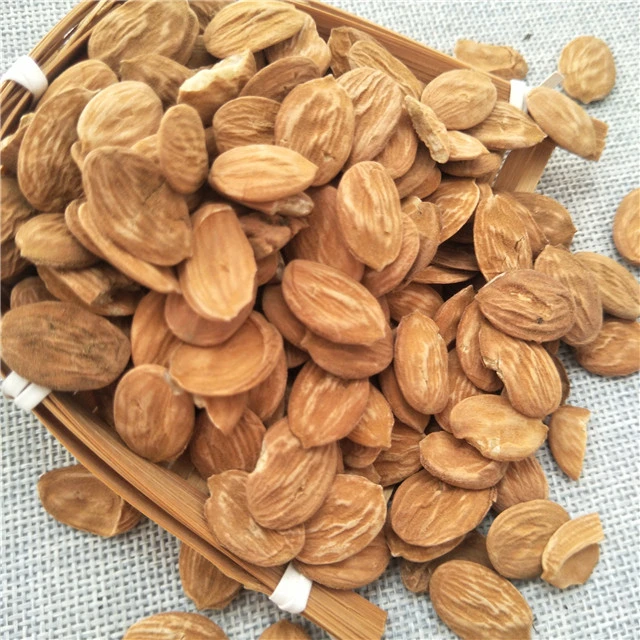 Tao ren Wholesale/Supplier dried peach kernel peach seeds for sale