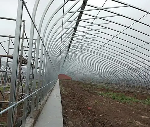 WMGH066 Frame greenhouse with polycarbonate garden morden green house