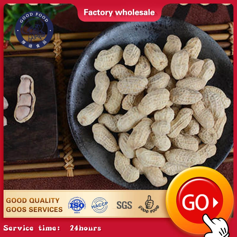 Professional Production Best Quality New Crop Roasted Salted Blanched Peanut Kernels 25/29