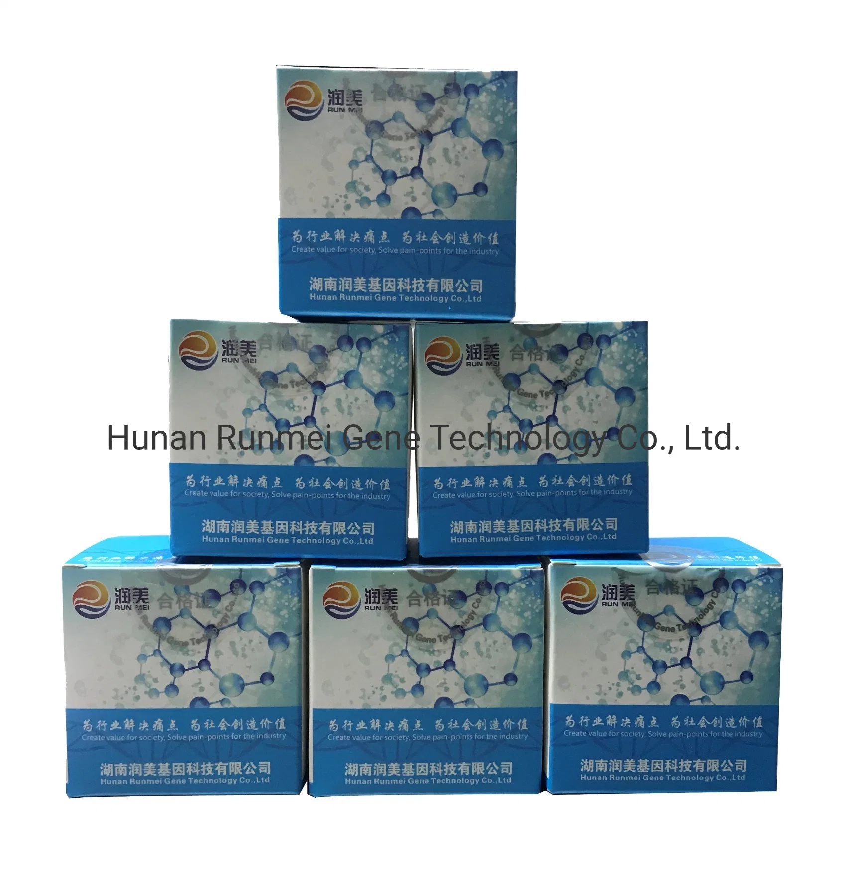 Runmei Factory Supply Monkeypox Rapid PCR Test Kit, Wholesale/Supplier Monkeypox Virus, Monkeypox Molecular Biology Reagents Monkeypox Virus PCR Rapid Diagnostic Kit