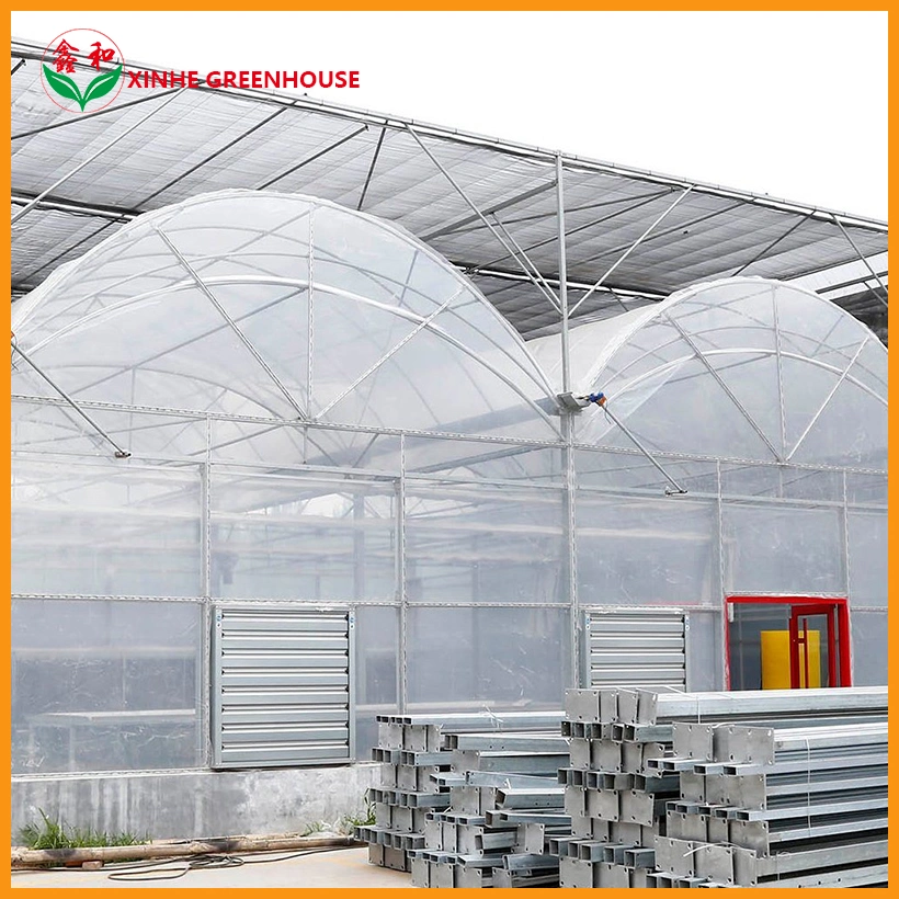 Smart Landwirtschaftliche Kunststoff-Film Gewächshäuser mit hydroponic System