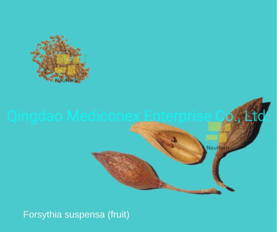 Chrysanthemum indicum (capitulum) Las materias primas tradicionales preparados a base de hierbas Las hierbas medicinales chinas Virus