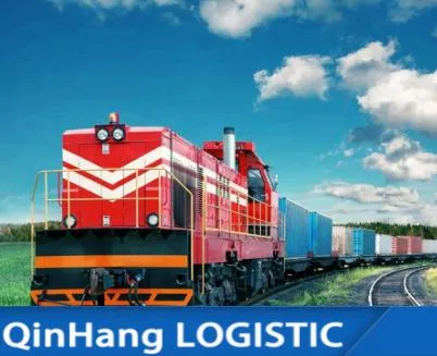 Professional Amazon Fba Shipping Service Railway Freight From China to Germany France