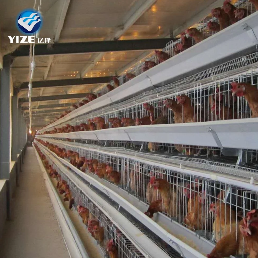 Hot Sale Good Quality Automatic Chicken Cage Poultry Farm Equipment