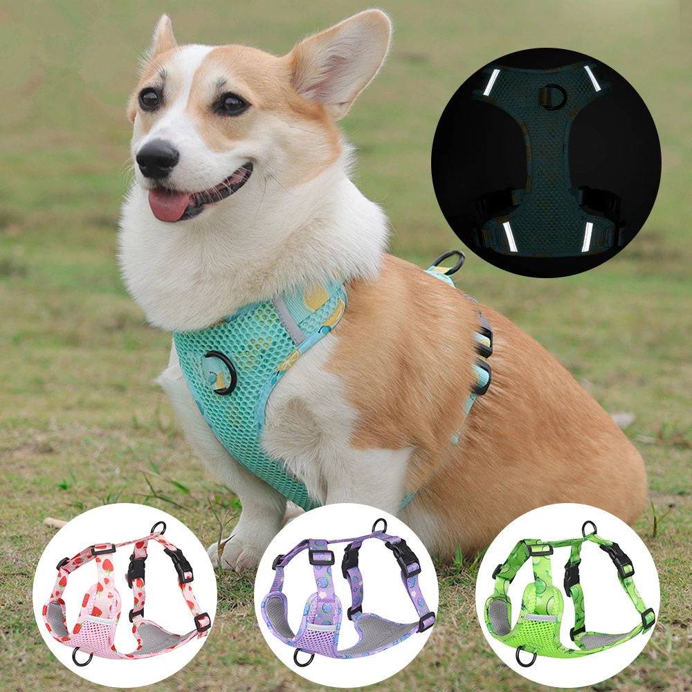 Pet Supplies 2023 Neue Ankunft Mesh Dog Harness Hals Verstellbar Lieferung Von Hundekabelbaum Ab Werk