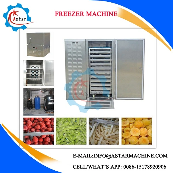 El uso comercial blast freezer para la venta