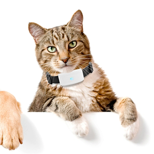 Animais de peles de gato e cão mini satélite GPS Anti-Lost Localizador luva impermeável Tracking Ultra espera longa