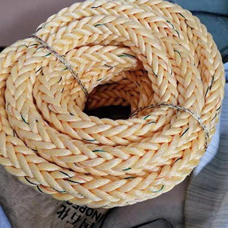 Stock Hot Sale! PE/PP/Polyster/Nylon 3/4/6/8/24/32 Double Braided and Twisted for Fishing/Marine/Mooring/Packing /Agriculture Rope with Best Price