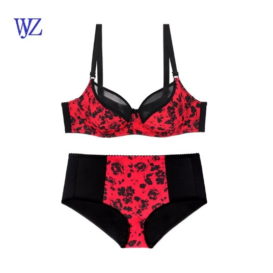 Women Bra & Brief Sexy Panty Push up Bra Comfortable Breathable Printed Lace Underwear Set