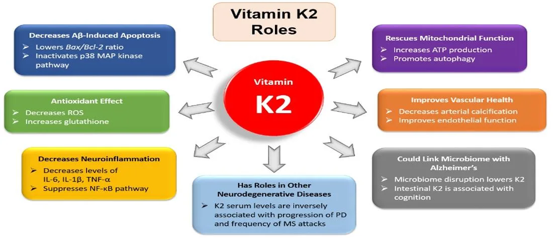 CAS 27670-94-6 Menaquinone-7 vitamina K2 Mk7 pó