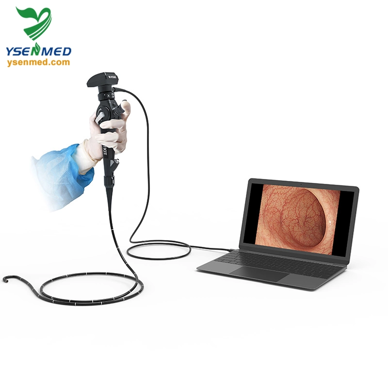 Ysvet-Ec130 1000mm with 10.1 Inch Medical Equipment Touch Screen Portable Animal Video Endoscope