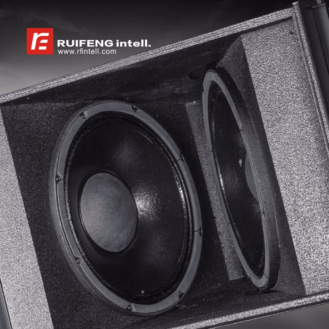 Dual 12 Inch Professional Audio Line Array Speaker