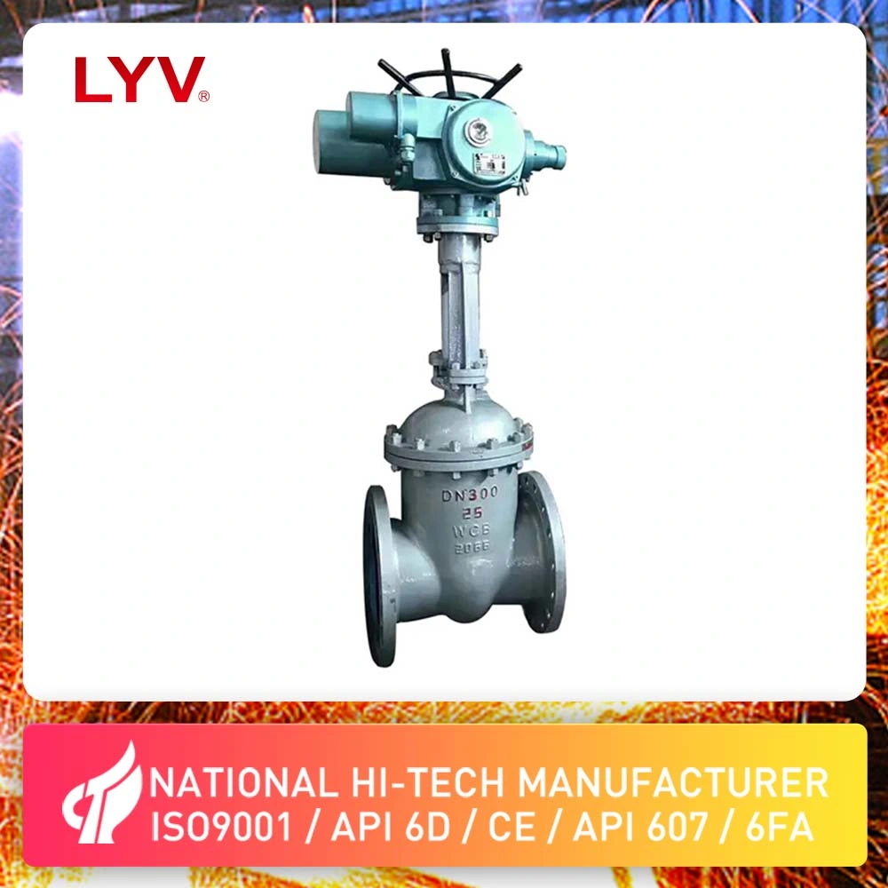 Gear Operated Flexible Wedge Rising Stem OS&Y Wcb, CF8, CF8m Gate Valve From Manufacturer