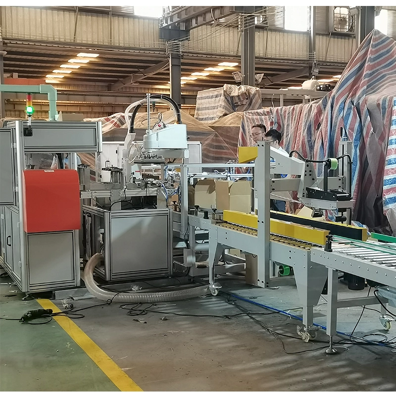 Case Packer Palletizer Machine Carton Box Packing Machine