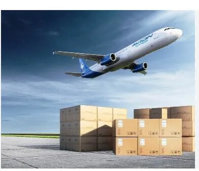 Cheap Rates to Amazon Fba Shipping Cost Freight Forwarder China to Spain