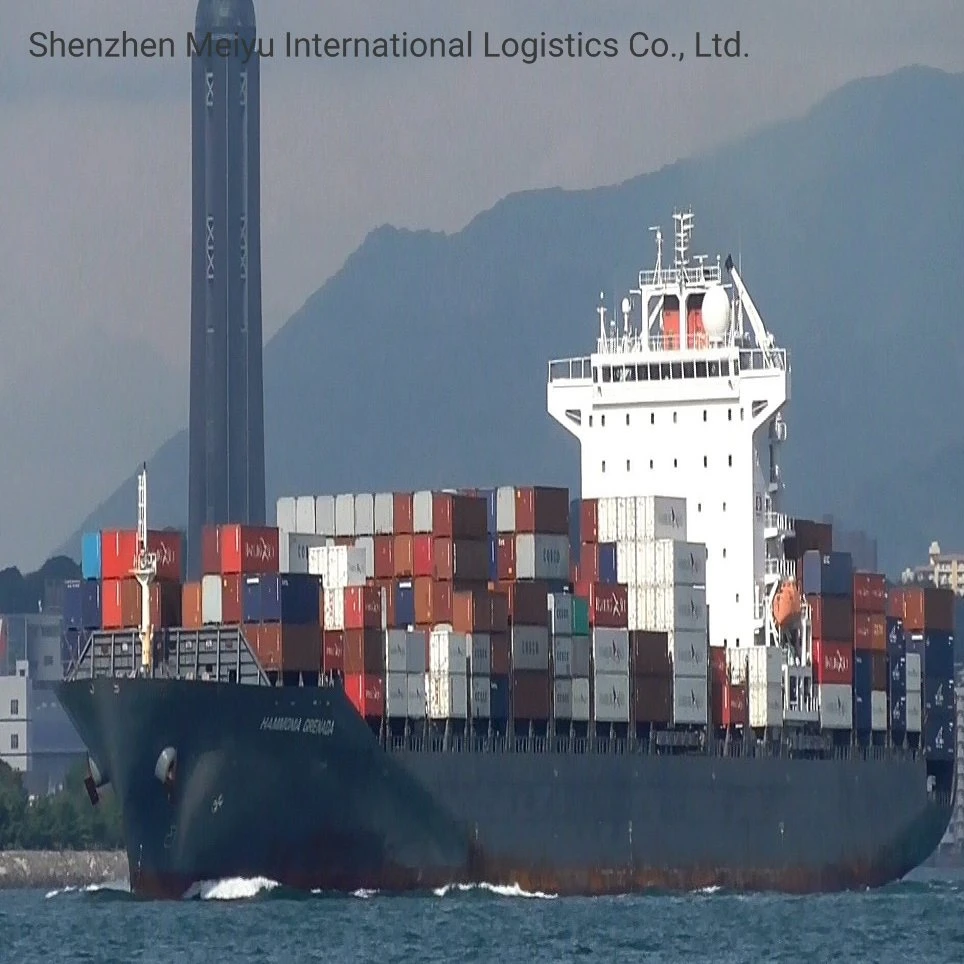 Container Shipping Sea Freight From China to Dubai