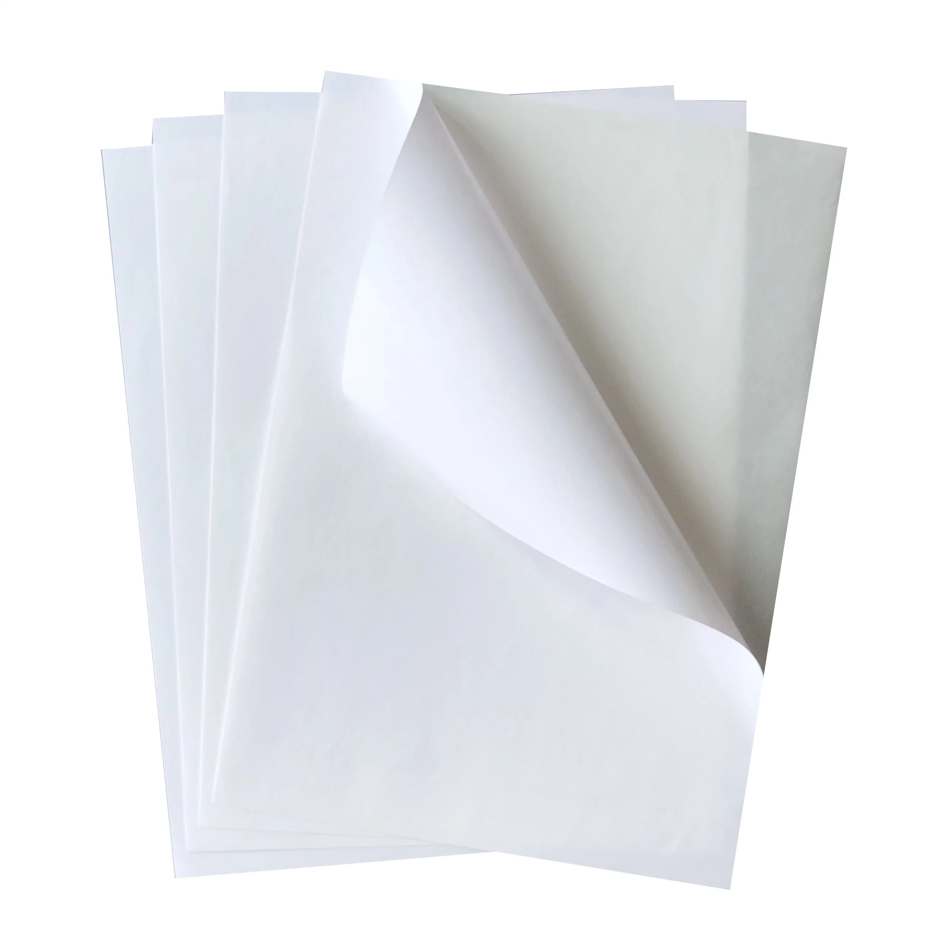 La parte superior de un tamaño personalizado recubierto de papel adhesivo autoadhesivo brillante Semi térmica directa de la etiqueta etiqueta Jumbo Roll