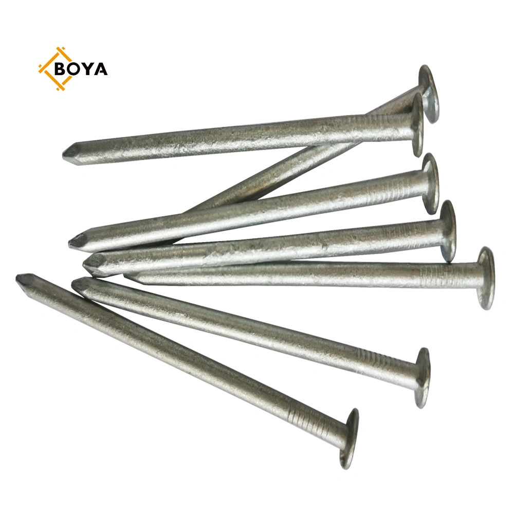 Galvanized Common Nail/Polished Nail/Building Nail/Iron Nail/Hardware Used for Building Construction