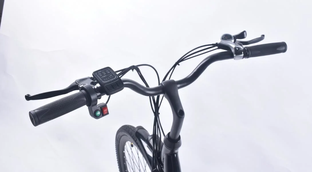 Pedal Assist Bike City Rode E Bike Elektrofahrrad 36V Hinterrad-Batterieräder