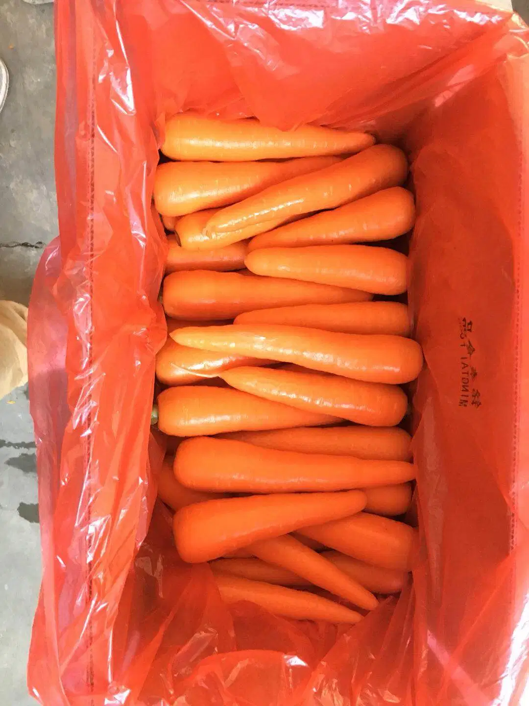 Carrot New Crop Straight AMD Sweet